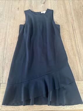 Loft Petite Tank Dress